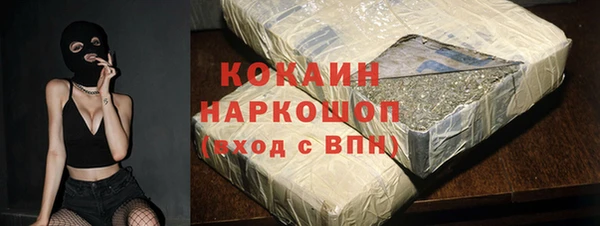 прущие грибы Осташков