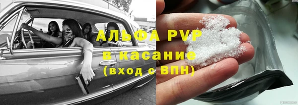 стаф Щучье