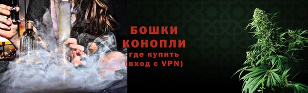 прущие грибы Осташков