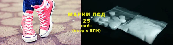 прущие грибы Осташков