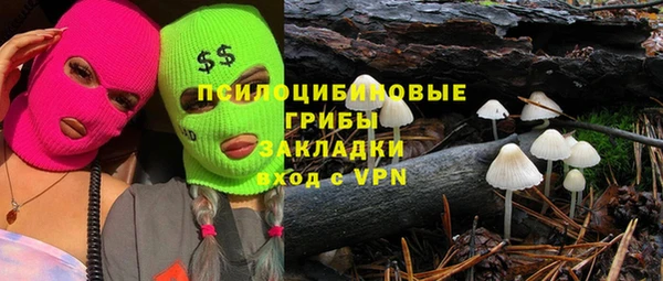 прущие грибы Осташков