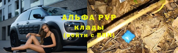 амф Остров