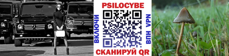 Псилоцибиновые грибы Magic Shrooms  закладка  Тимашёвск 